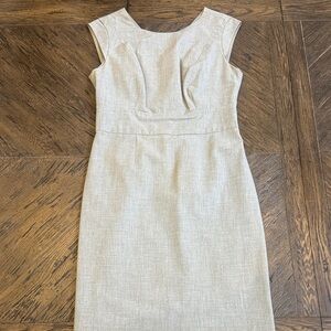 The Limited Light Gray Dress - Size 8P